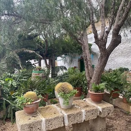 Abuela Carmen